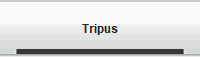Tripus