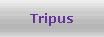 Tripus